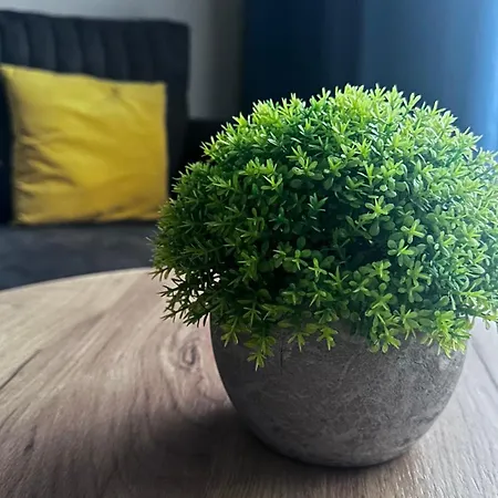 Sleep & Fly & I Comfort Appartement